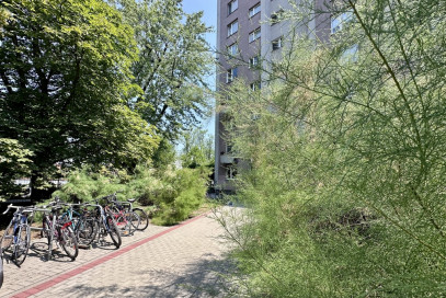 Mieszkanie Wynajem Warszawa Żoliborz Aleja Wojska Polskiego