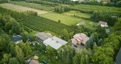 Działka Sprzedaż Sucha Kasztanowa